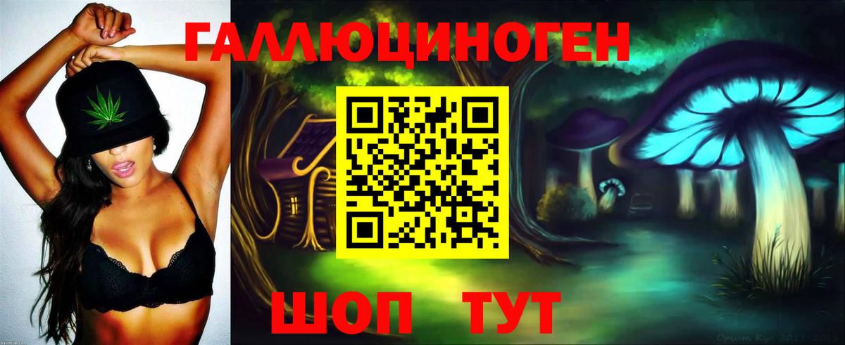 Черняховск  Галлюциногенные грибы ЛСД  Вход с VPN 