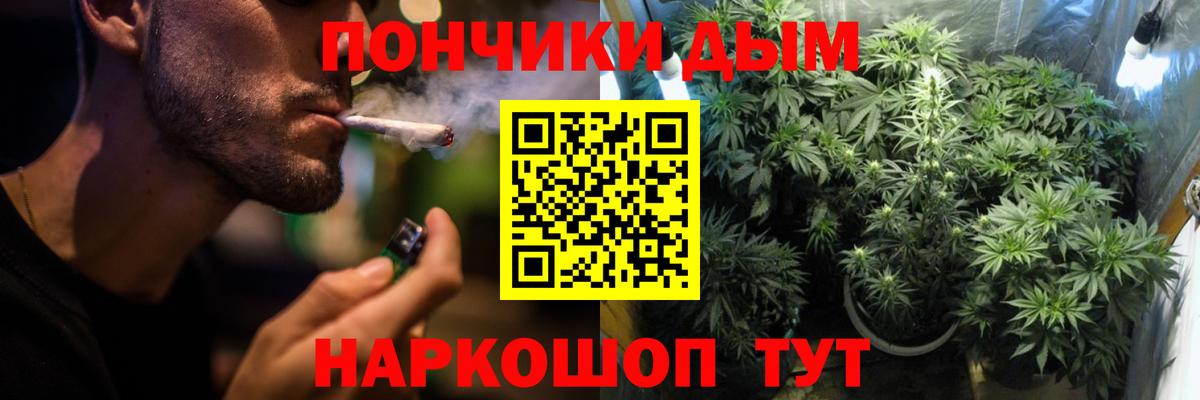 Конопля планчик Черняховск